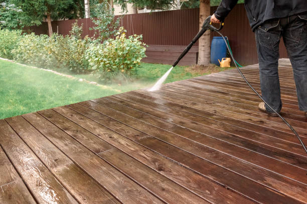 Best Pre-Holiday Cleaning  in Riverview, MI